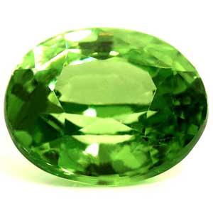 1.03 carat Oval Tsavorite - Gemstone Thumbnail