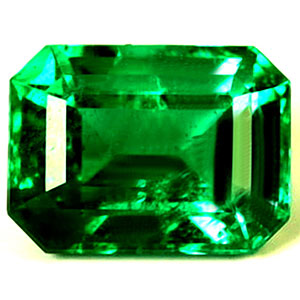 0.92 carat Emerald Emerald - Gemstone Thumbnail
