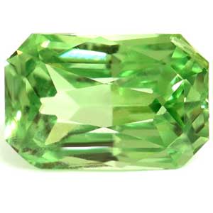 0.99 carat Emerald Tsavorite - Gemstone Thumbnail