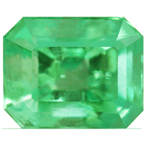 0.99 carat Emerald Emerald - Gemstone Thumbnail