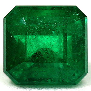 0.95 carat Emerald Emerald - Gemstone Thumbnail