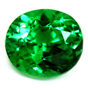 0.91 carat Oval Tsavorite - Gemstone Thumbnail