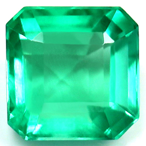 Emerald Emerald 0.83 carat Green Photo