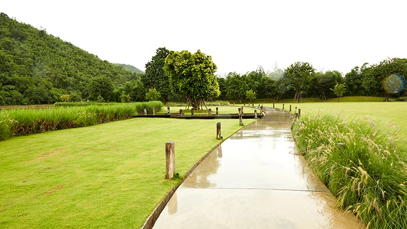 Diy Engagement Party View of a garden