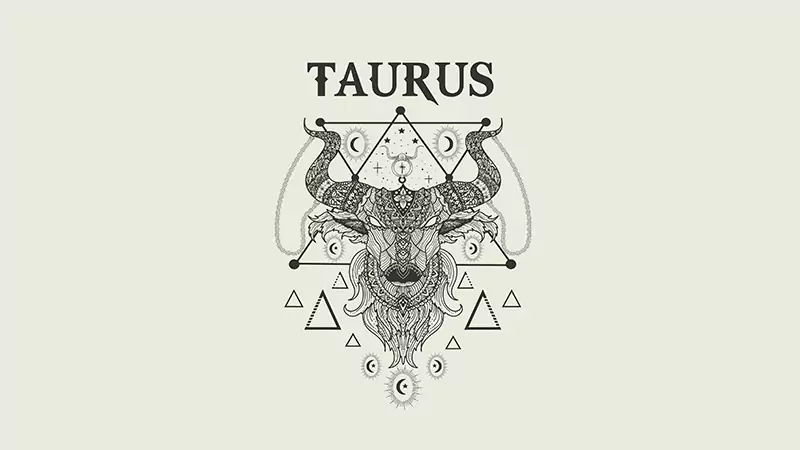 FACTOR CONNECT – Taurus