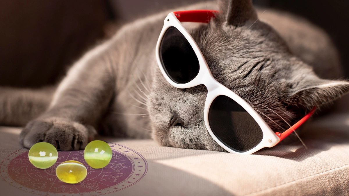 Best Zodiac Signs for Wearing Cat’s Eye Stone