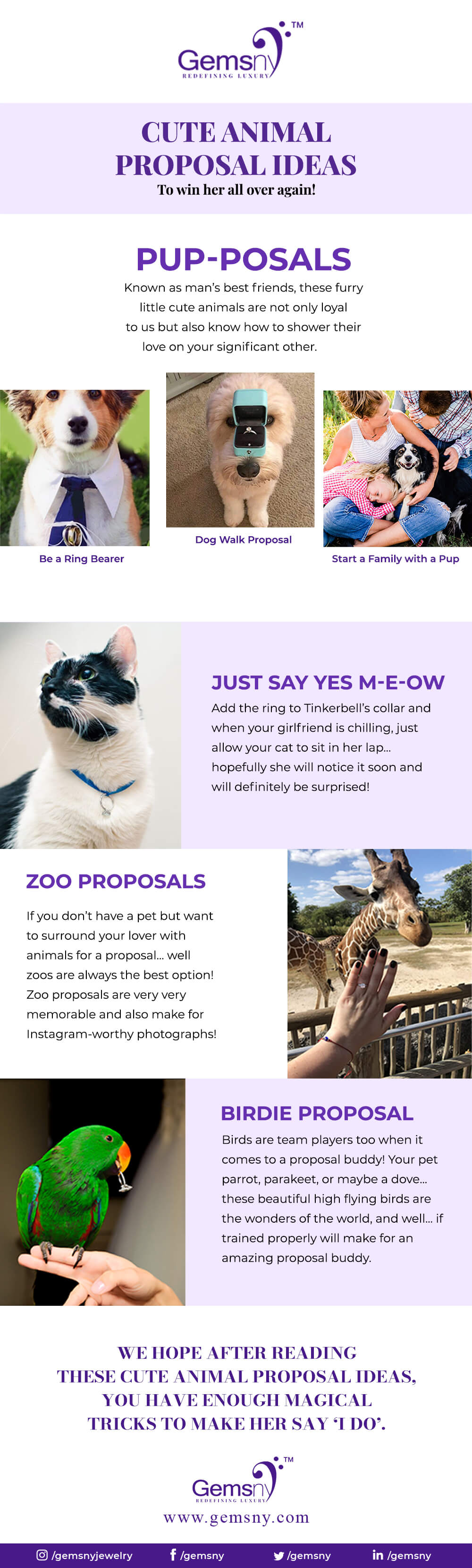 Cute Animal Proposal Ideas