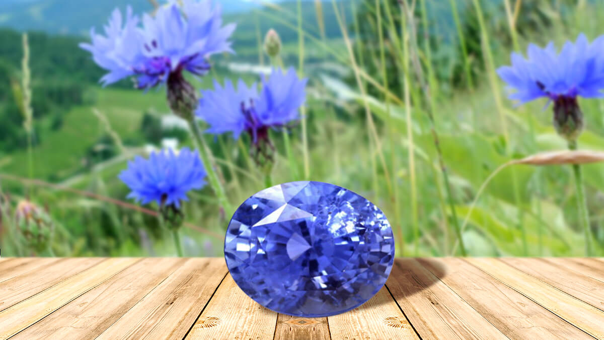 12 Key Factors on How to Buy a Blue Sapphire (A Guide)