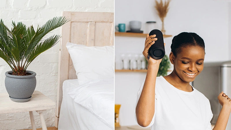 Indoor plants and bluetooth speaker for mother's day gifts
