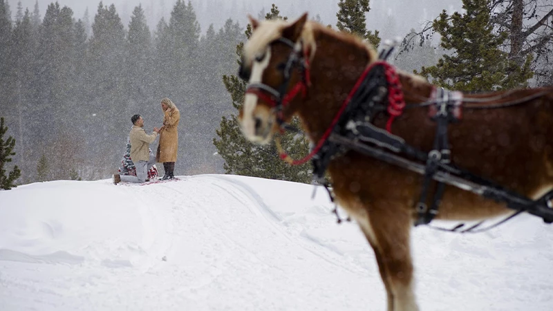 a classic carriage ride 